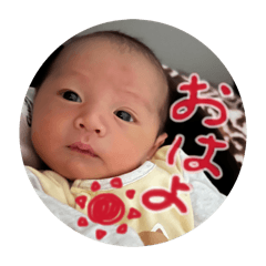 miochin_20260205051514