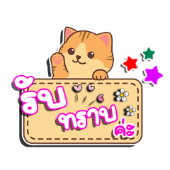 Spbstationery_20260205095149