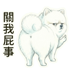 小白博美-屁孩模式On(HD)