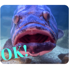 Lilian_20260203202649