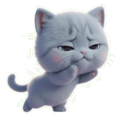 반짝반짝 왕대가리 고양이 완전 신나!