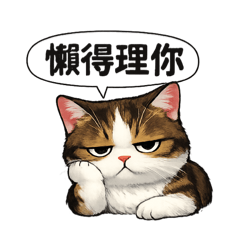 曼赤肯貓喜怒哀樂