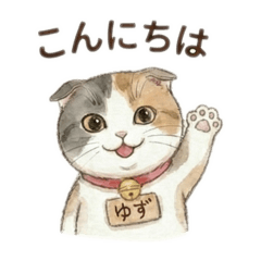 Yuzuko._20260204232257