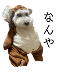 ayana_20260205083630