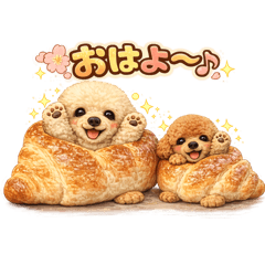 mofumimi brothers_20260205081338