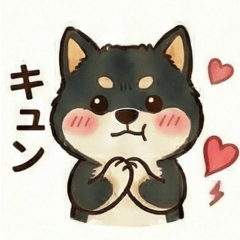 Everyday Life of a Shiba Inu5