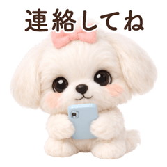 Everyday Words Maltese