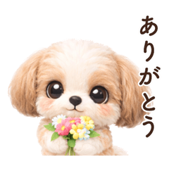 Everyday Words Shih Tzu