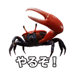 benishiomaneki_line_stamps