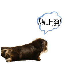 Mugi_Muji
