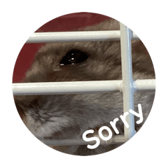 倉鼠每一天（4)