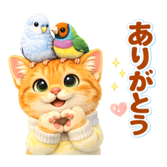 Chie.U_20260203220604