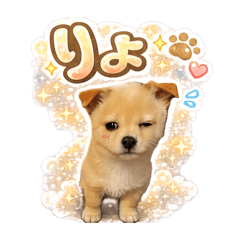 kentma_20260203224021