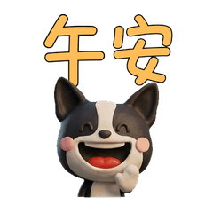 Taiwanese Boston Terrier  39