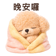 Everyday Words Toy Poodle TC