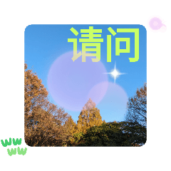 Taiwan's Taiju: Relaxed Traditional Chin