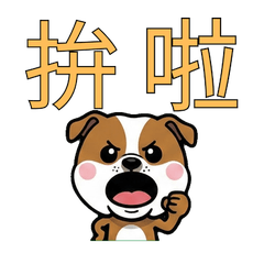 Taiwanese English Setter  31st