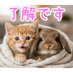 [了解です専用]ウサギとネコ