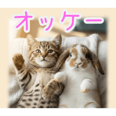 [オッケー専用]ウサギとネコ