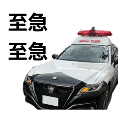 50ta6_20260205134731