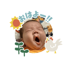 satoco_20260205135244