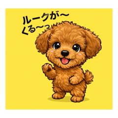 jiuri_20260205203906