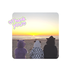 JAMMY_20260205193908