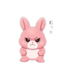 yamano_20260205110825