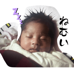 ringo_20260205111817