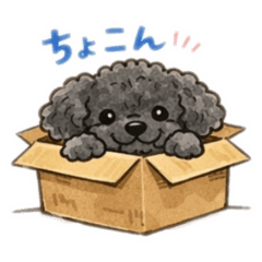 kiyora_20260205142907