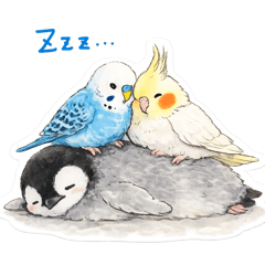 Chie.U_20260205112323