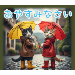 PAKAMOGOLY_20260205202242