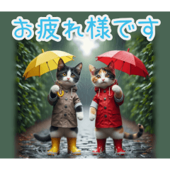 PAKAMOGOLY_20260205202457