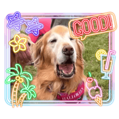 miryammsc_20260205115134