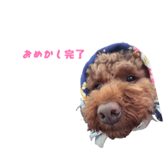 ChikoChiko_20260205131349