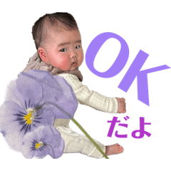 satsuki_20260205131842