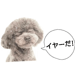 inaina_20260205164435