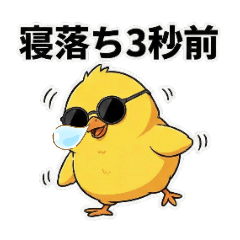 maronn_20260205164621