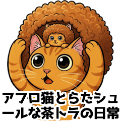 アフロ猫とらた：シュールな茶トラの日常