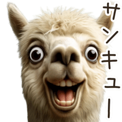 ⚫動く！うざいアルパカ【ムカつく/ウザい】