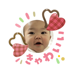 mirehiyo_20260205174