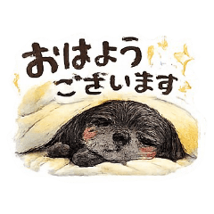 Moko-chan: Polite Set