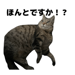 momojiri_20260205211450