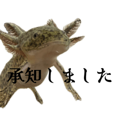 hina:)_20260206022801