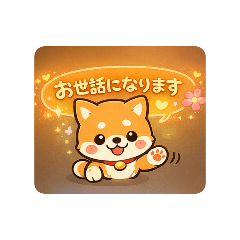 1971Ty_20260206022217