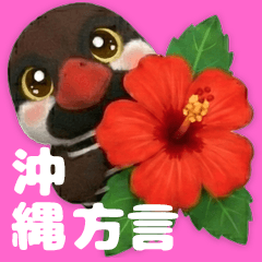 Okinawa Rail: Yanbaru Kuina (Dialect)