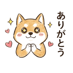 Sweet Shiba Reactions