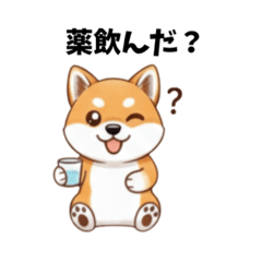 saori design_20260205123943