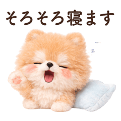 Everyday Words Pomeranian