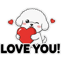 Bichon Frise every day!